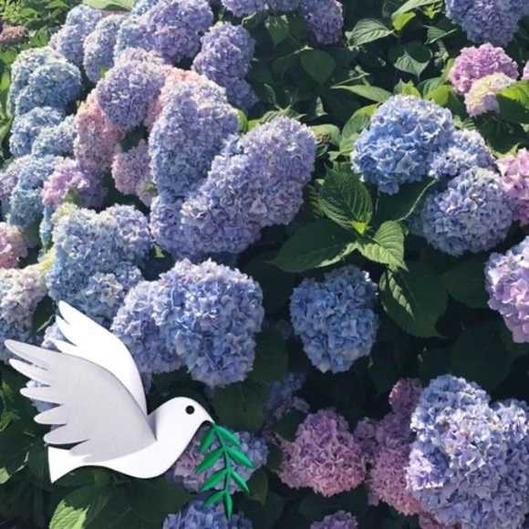 Meet your Posher, Nancy - Picture 1 of 1